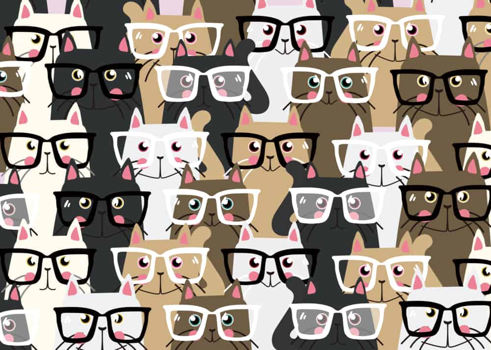 무리 고양이 쓴 잔
