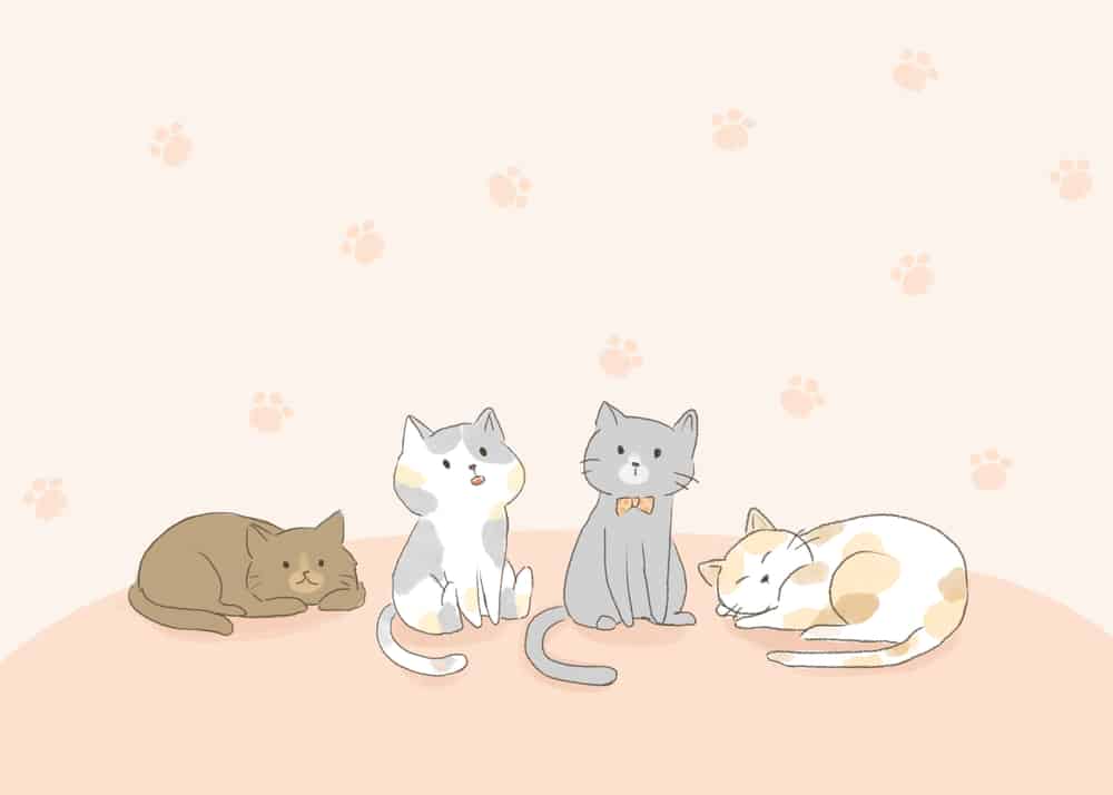 고양이 분홍색 배경 무리