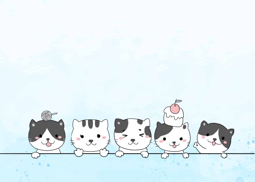고양이 파란색 배경 무리