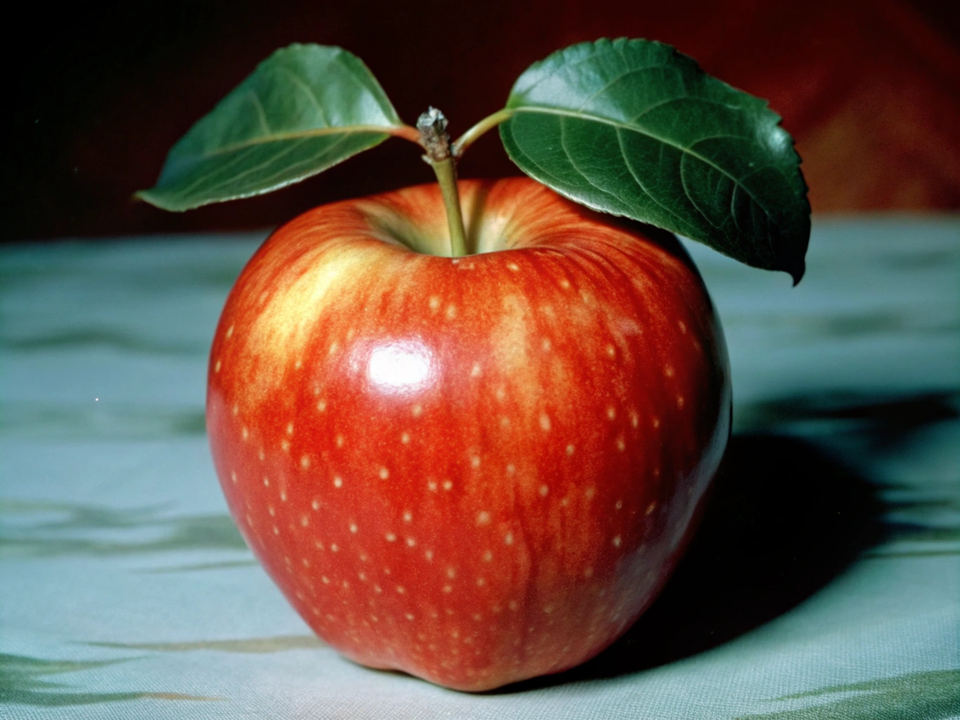 사과, 과일, 빨간, 애플apple (26)