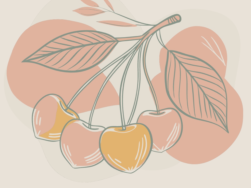 체리 과일 상큼함 상큼 음식 디저트 svg 벡터 원본 이미지 포토샵 파일_cherry (27)