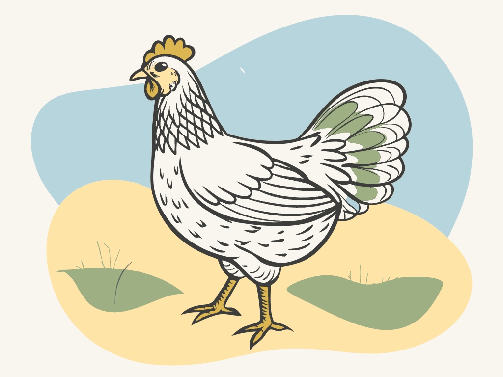 치킨 통닭 닭 수닭 암닭 달걀  svg 벡터 원본 이미지 포토샵 파일_chicken (22)