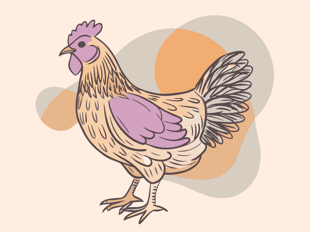 치킨 통닭 닭 수닭 암닭 달걀  svg 벡터 원본 이미지 포토샵 파일_chicken (23)