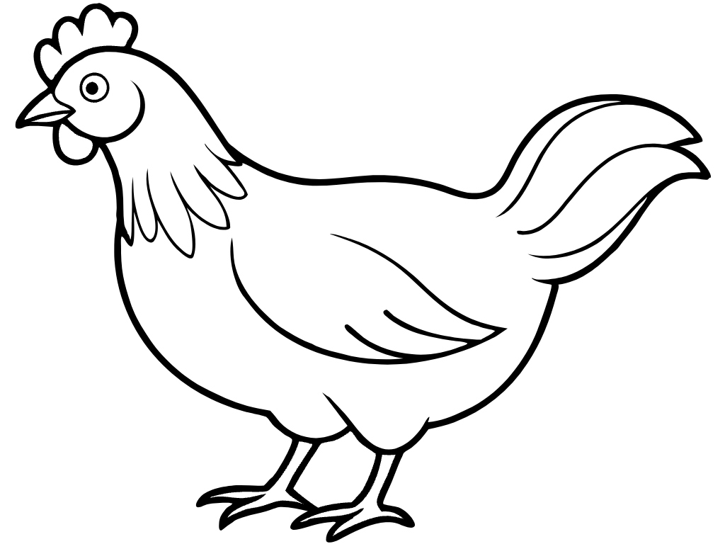 치킨 통닭 닭 수닭 암닭 달걀  svg 벡터 원본 이미지 포토샵 파일_chicken (29)