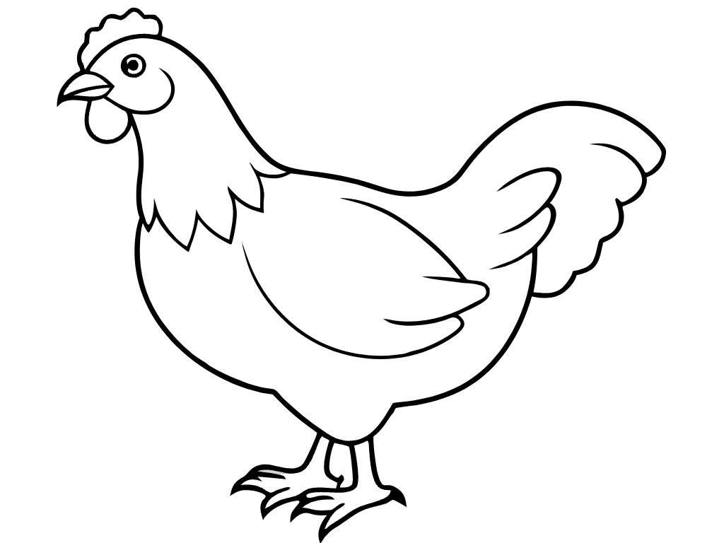 치킨 통닭 닭 수닭 암닭 달걀  svg 벡터 원본 이미지 포토샵 파일_chicken (30)