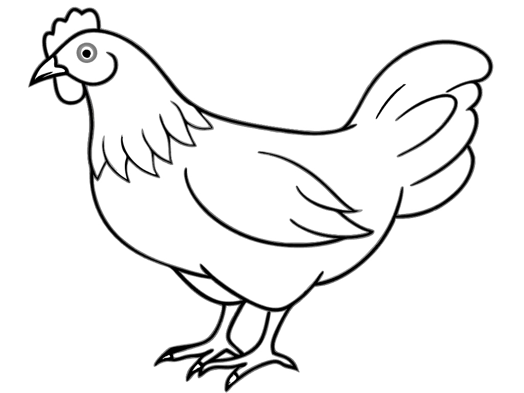 치킨 통닭 닭 수닭 암닭 달걀  svg 벡터 원본 이미지 포토샵 파일_chicken (31)