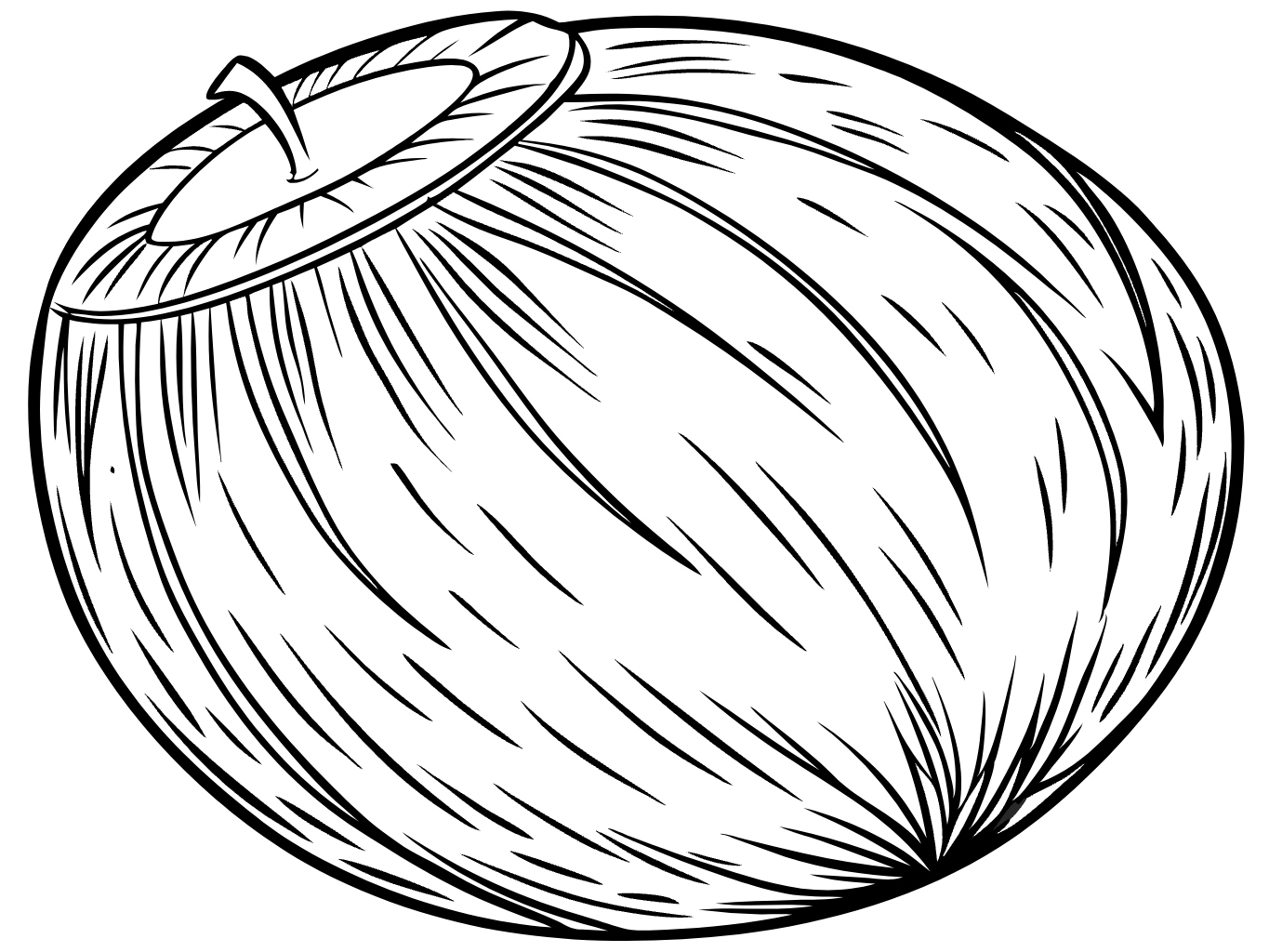 코코넛 야자수 열매 코코넛열매 여름 동남아 음료 음료수 더위 svg 벡터 원본 이미지 포토샵 파일_coconut (30)