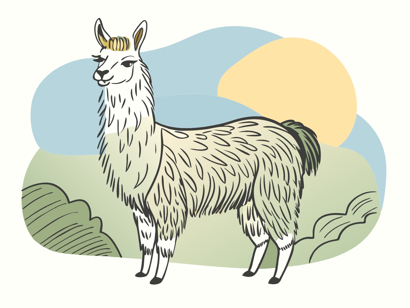 라마, 들판, 귀여운, 동물llama (5)