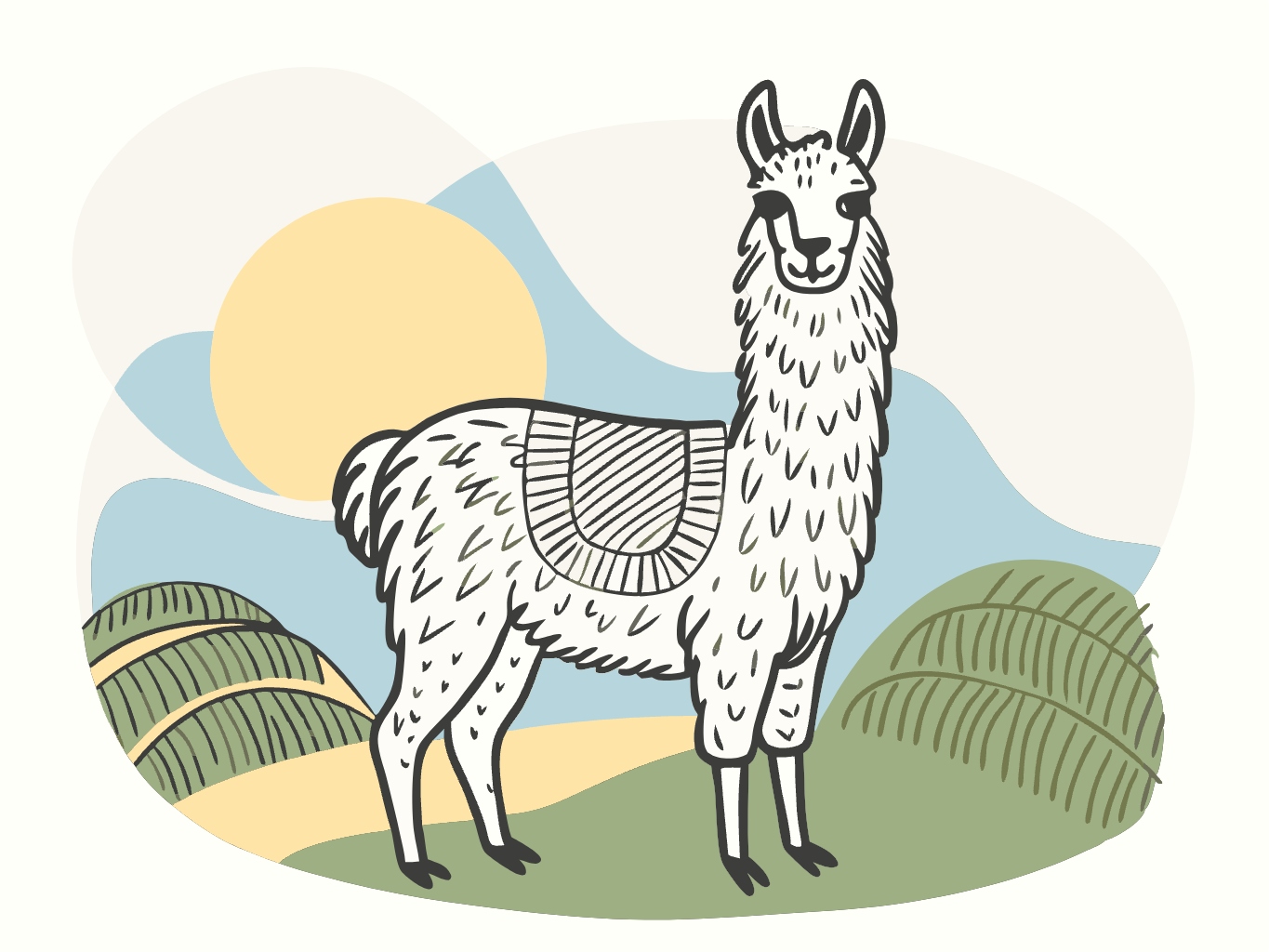 라마, 들판, 귀여운, 동물llama (6)