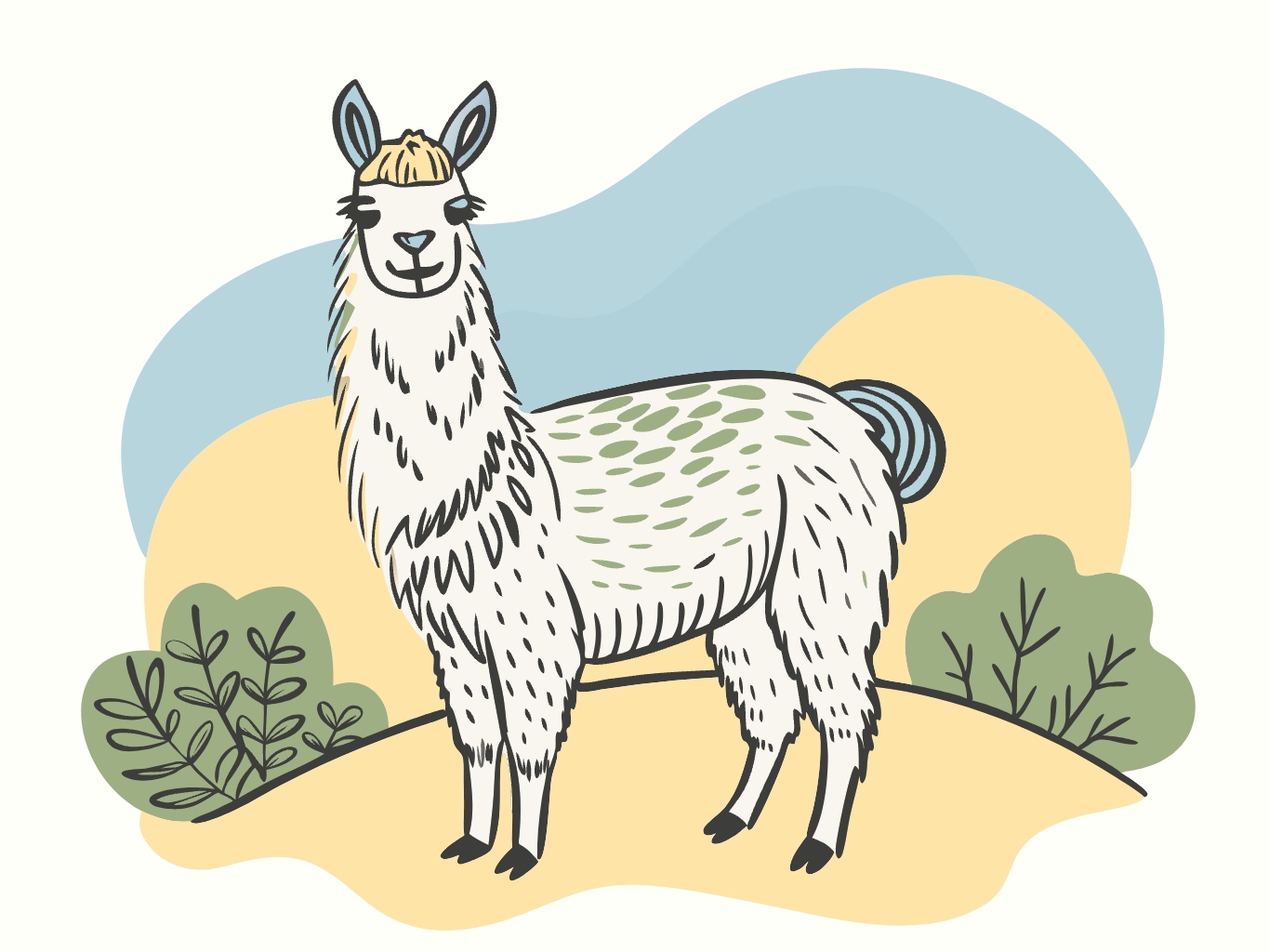 라마, 들판, 귀여운, 동물llama (7)