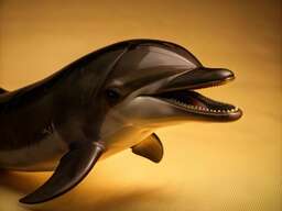 Toy Dolphin Sitting on Top of a Bed