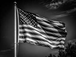 Black and White Photo of an American Flag