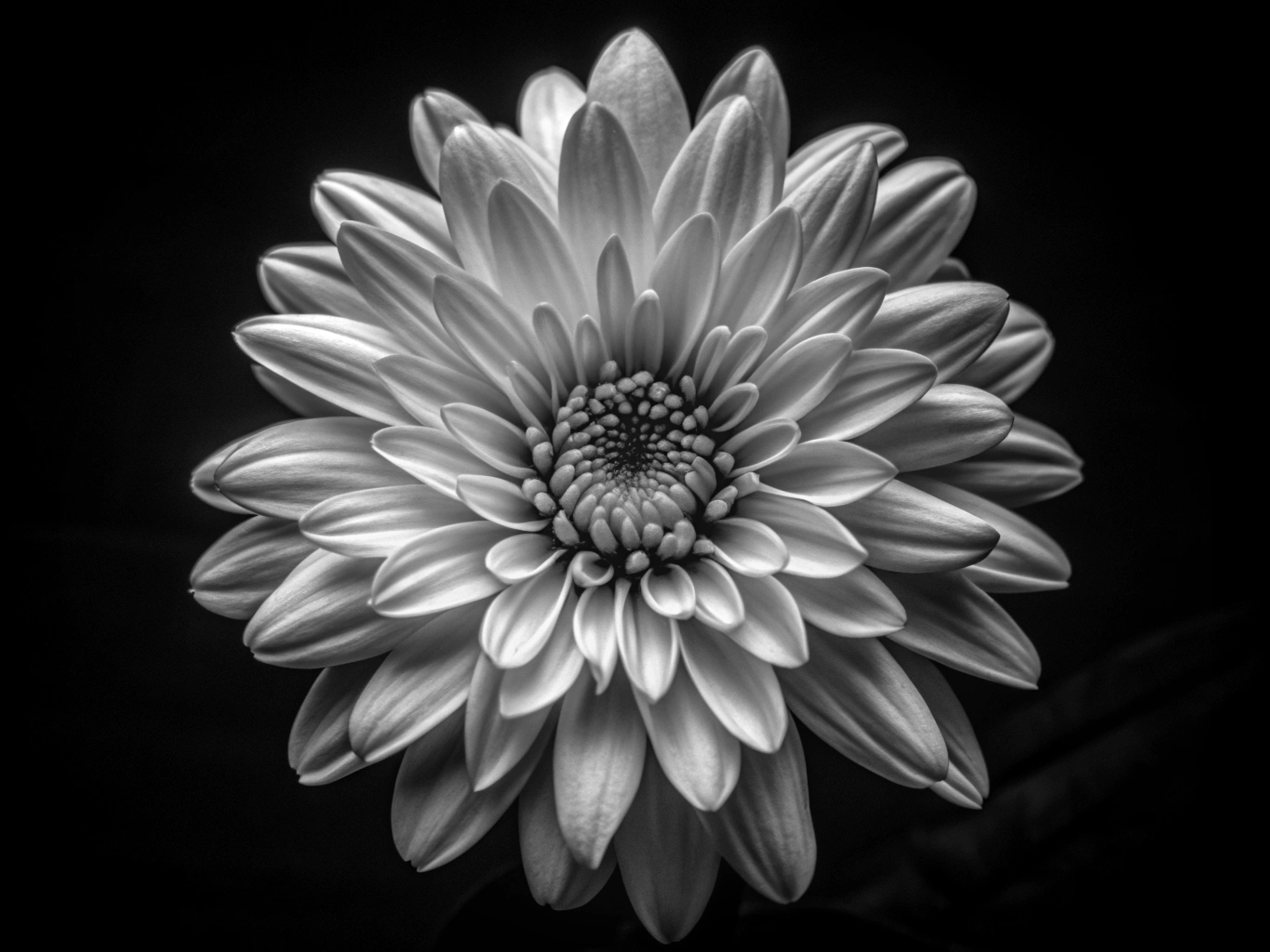 꽃 꽃다발 꽃무늬 화환 flower (13)_png 배경 이미지 원본 파일