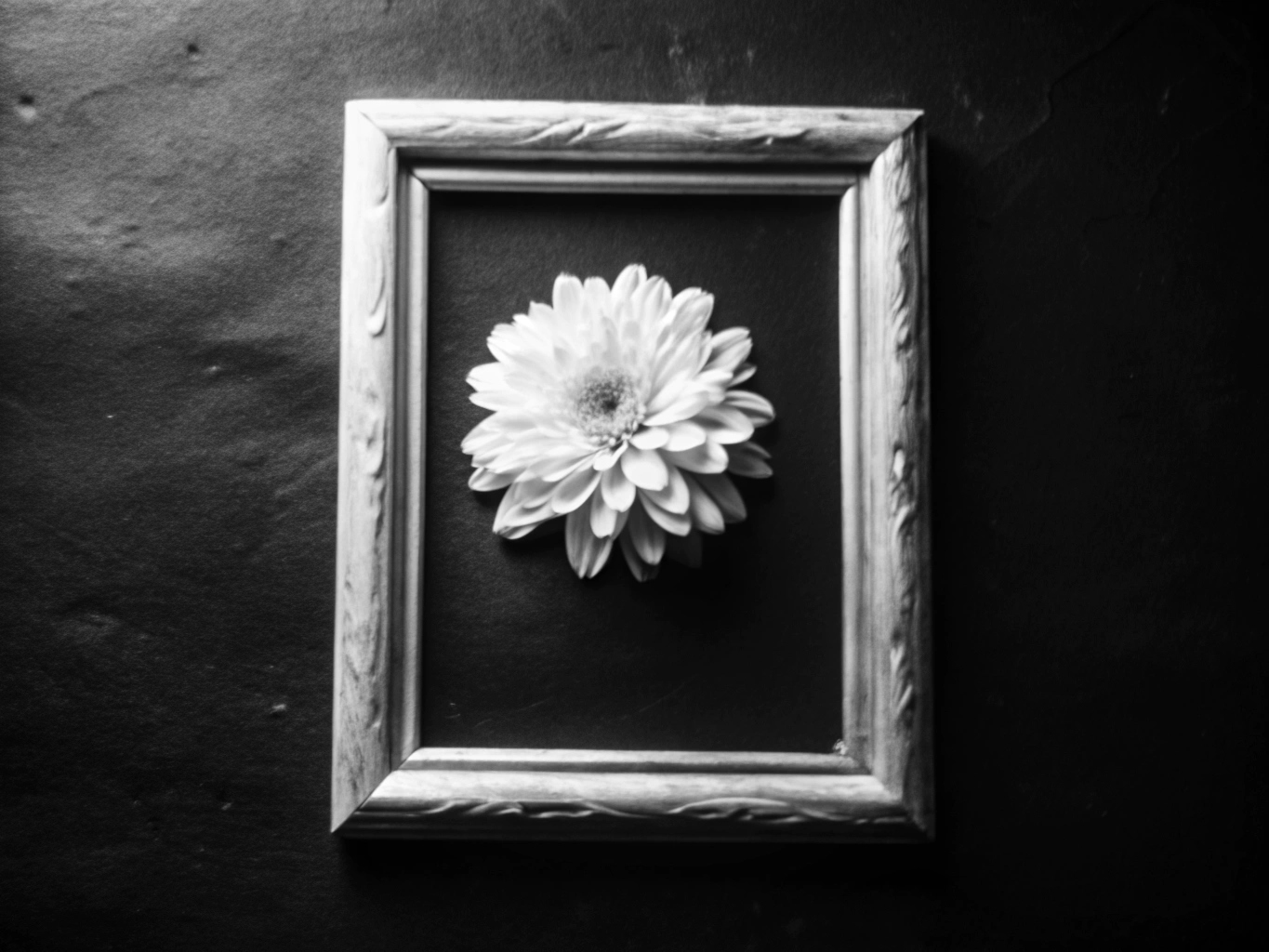 꽃 꽃다발 꽃무늬 화환 flower-프레임 액자 사진 frame (12)_png 배경 이미지 원본 파일