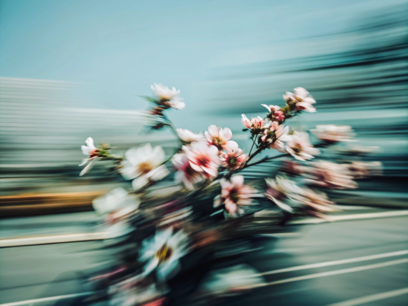 꽃 꽃무늬 꽃다발 화환 floral-pattern (28)_png 배경 이미지 원본 파일