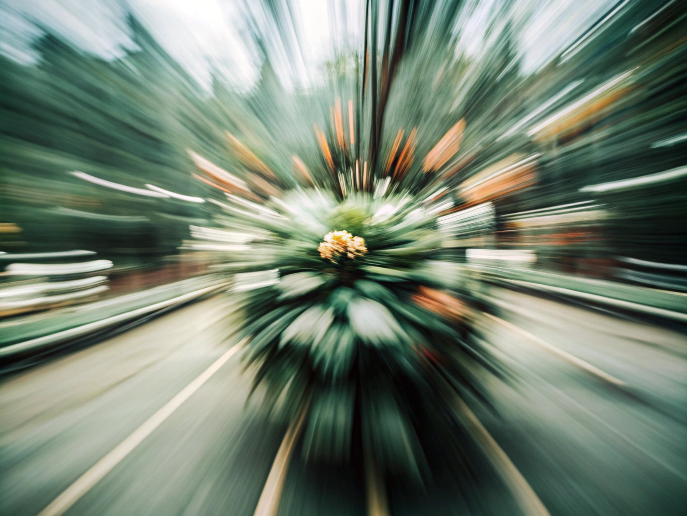 꽃무늬 꽃모양 꽃다발 꽃배경 flourish (29)_png 배경 이미지 원본 파일