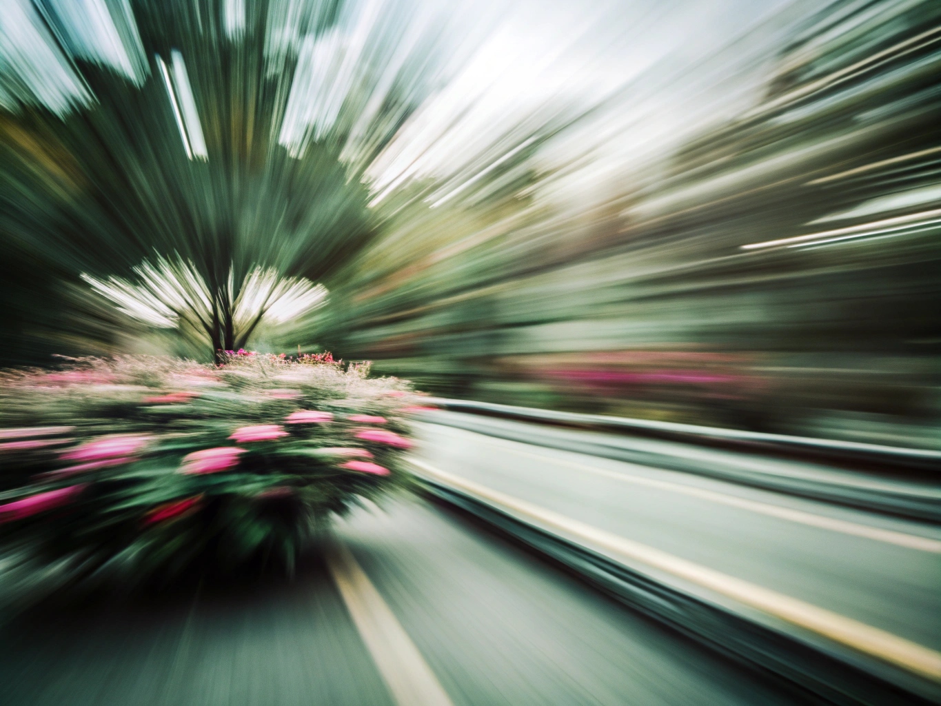 꽃무늬 꽃모양 꽃다발 꽃배경 flourish (31)_png 배경 이미지 원본 파일