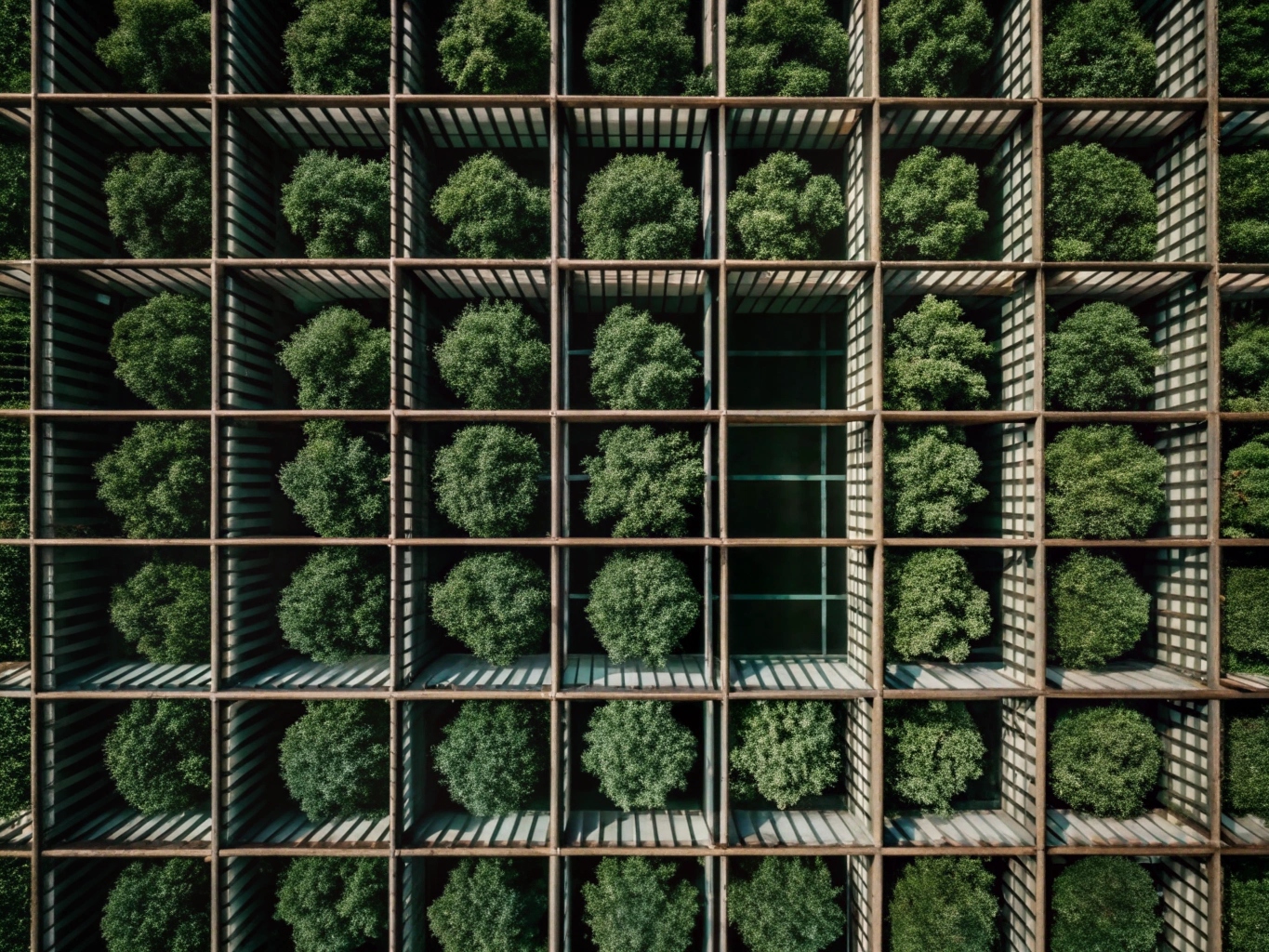 그리드 grid (6)_png 원본 이미지 배경 파일