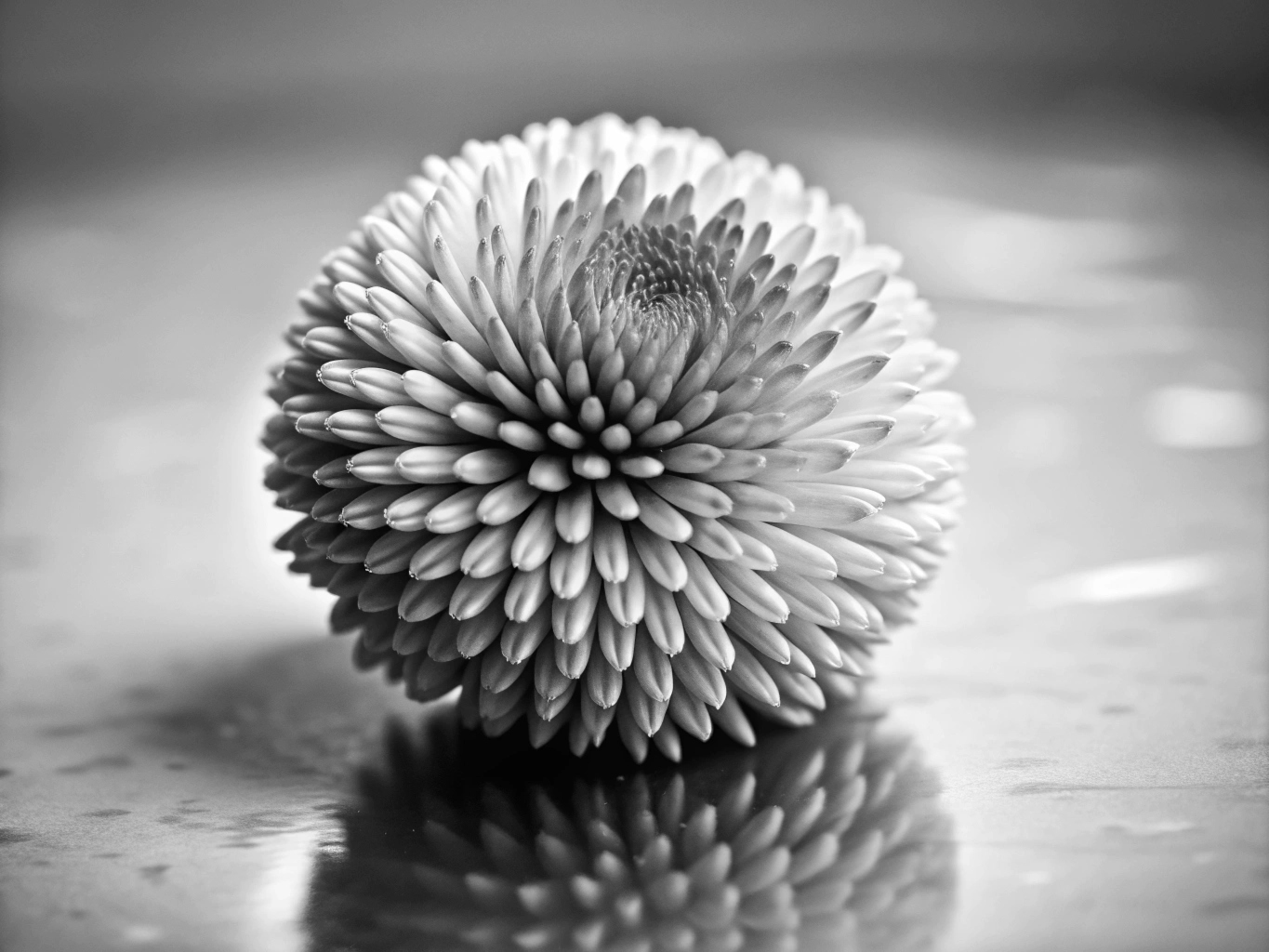 그린 잔디 푸른 초록 유기농 과일 천연 green-background (11)_png 원본 이미지 배경 파일