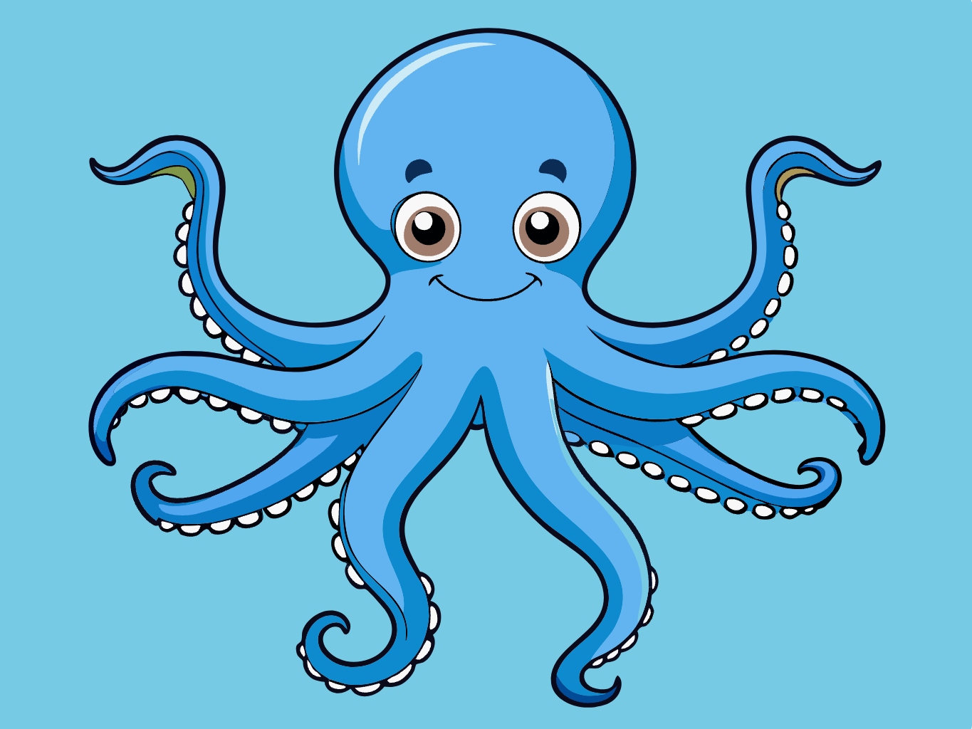 벡터, 이미지문어, 옥토퍼스, 연체동물 (9)