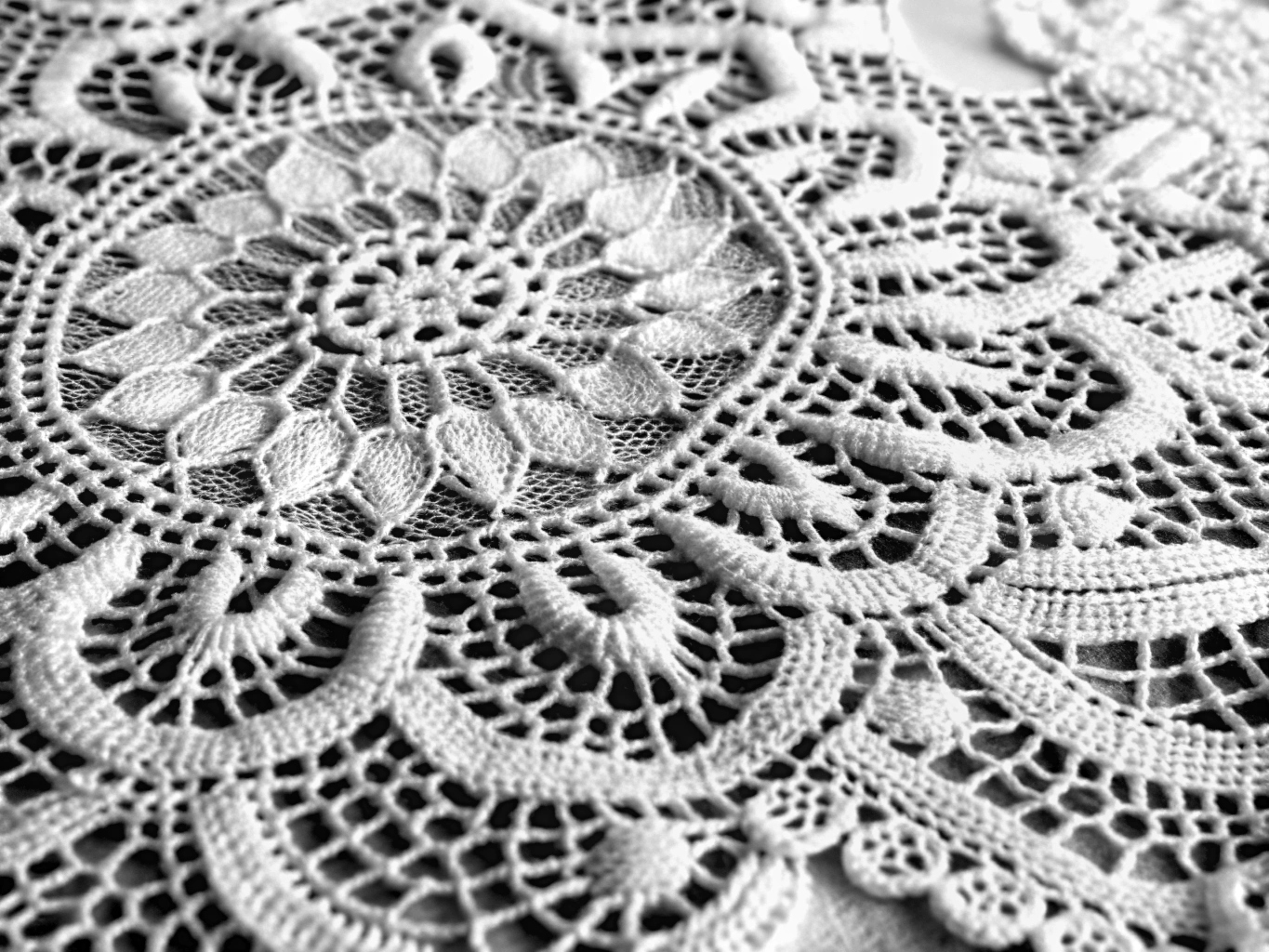 레이스 원단 무늬 모양 lace_png 원본 이미지 배경 백그라운 사진