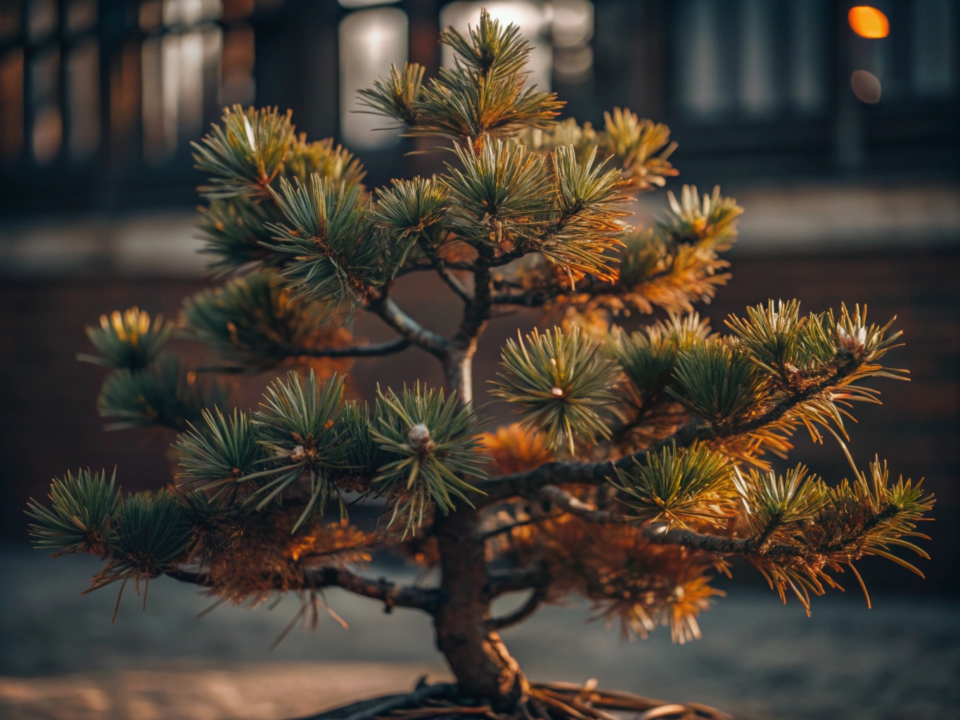 소나무, 푸른, 올곧은, 나무pine-tree (29)