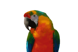 화려한 macaw 앵무새