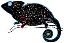 galaxy 패턴 chameleon