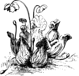 Pitcher 공장 일러스트