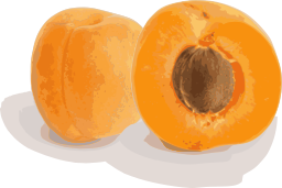 전체 및 절반 apricot