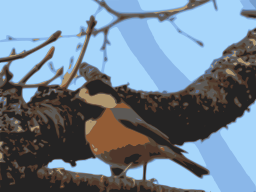 A Bird Perched On A Branch Of A Tree