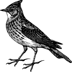 새 silhouette