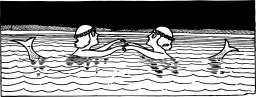 dolphins swimming group