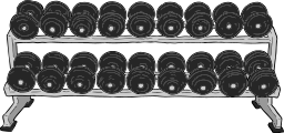dumbbell 선반