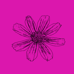 단일 flower line art