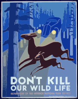 wildlife conservation poster
