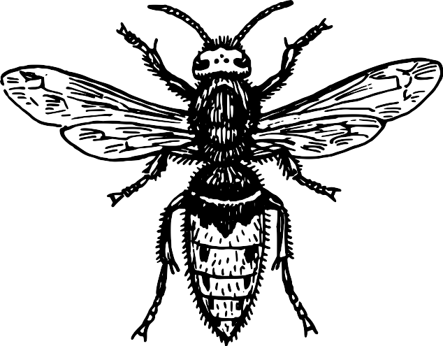A 검정 과 화이트 그림 의 A Bee