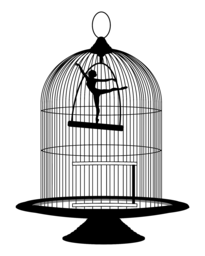 조류 confinement 그림