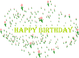 꽃 생일 축하 장미 꽃