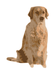 황금 retriever 개 앉아