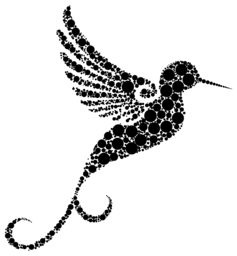 회색 gradient dotted hummingbird 에 화이트