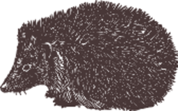 hedgehog 그림