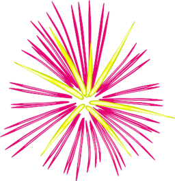 분홍색과 노란색 starburst 불꽃 놀이 블랙 배경