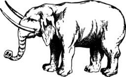 빈티지 스타일 코끼리 스케치 프로파일 곡선 tusks
