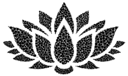 흰색 배경에 검정과 흰색 로터스 꽃