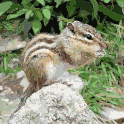 바위에 Chipmunk