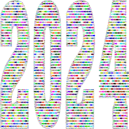 화려한 2024