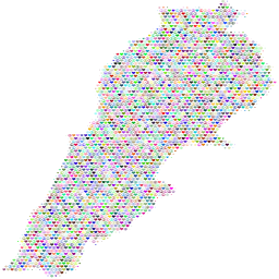 화려한 모양