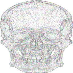 화려한 skull
