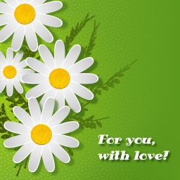daisies 와 생일 메시지